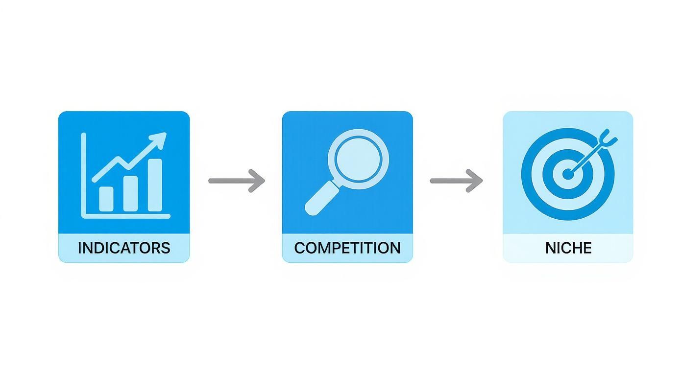 Infographic showing the market analysis process with icons for Indicators, Competition, and Niche.