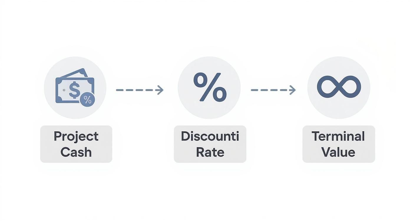 A financial model flowchart showing project cash flow, discount rate, and terminal value components.