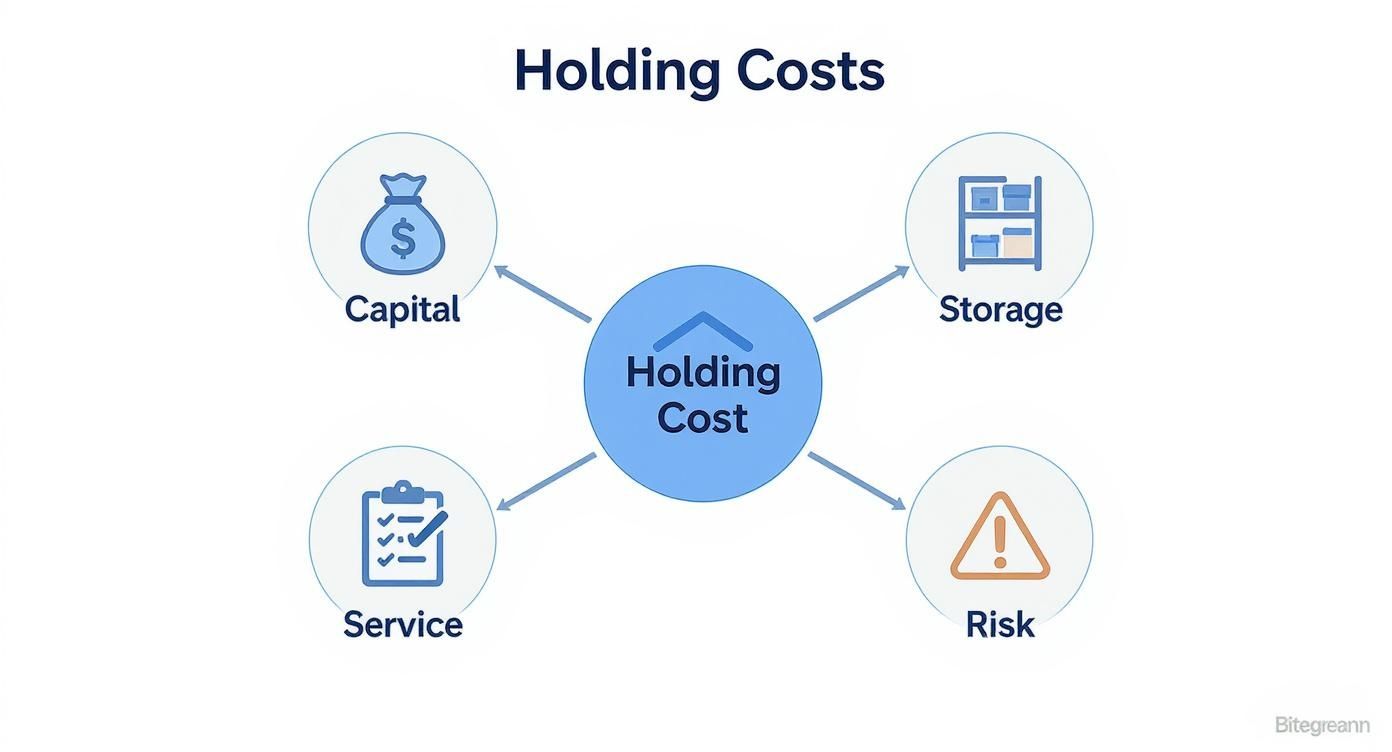 Infographic about what is a holding cost