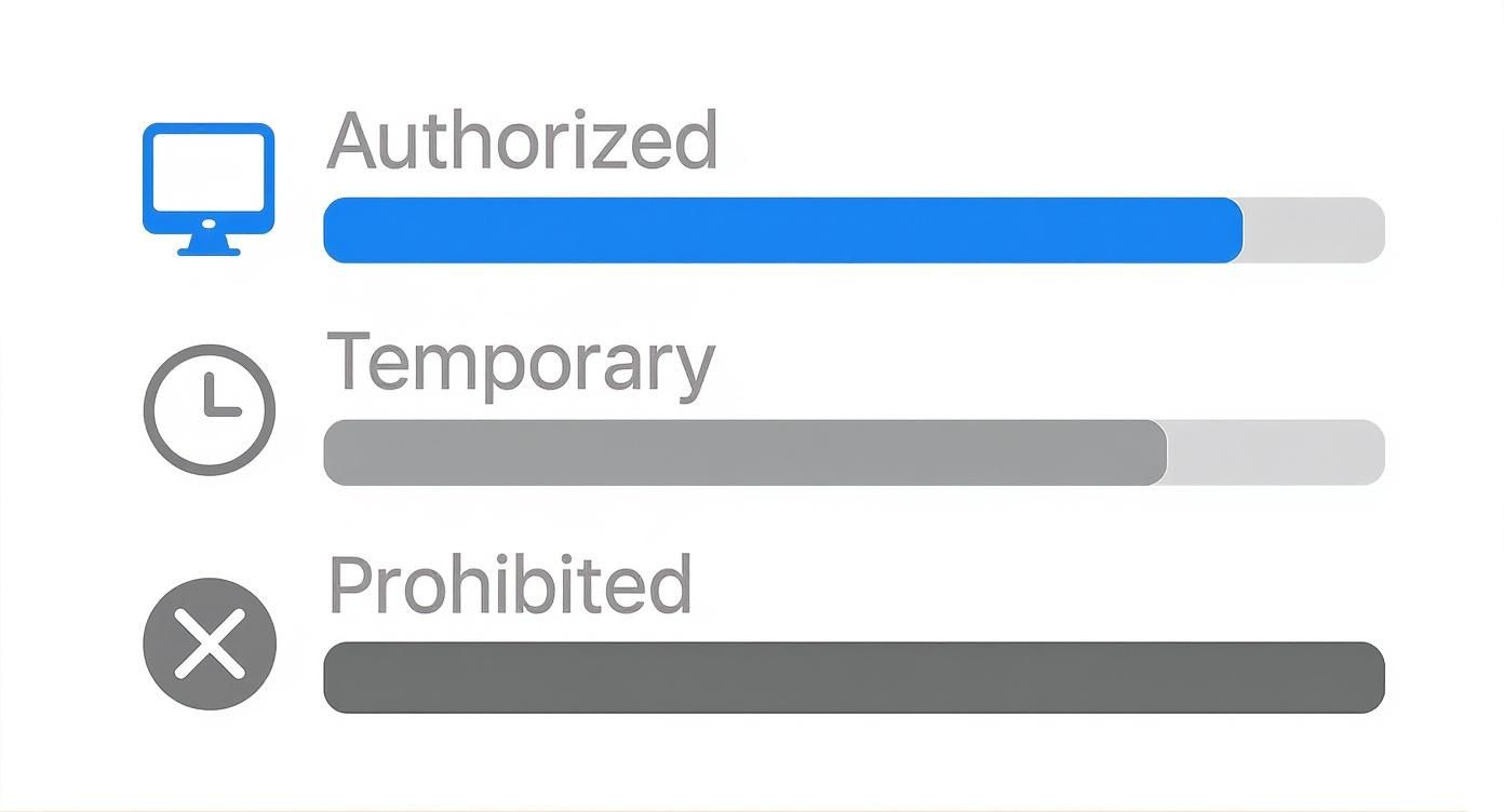 Three access level indicators showing authorized, temporary, and prohibited status with corresponding computer, clock, and X icons