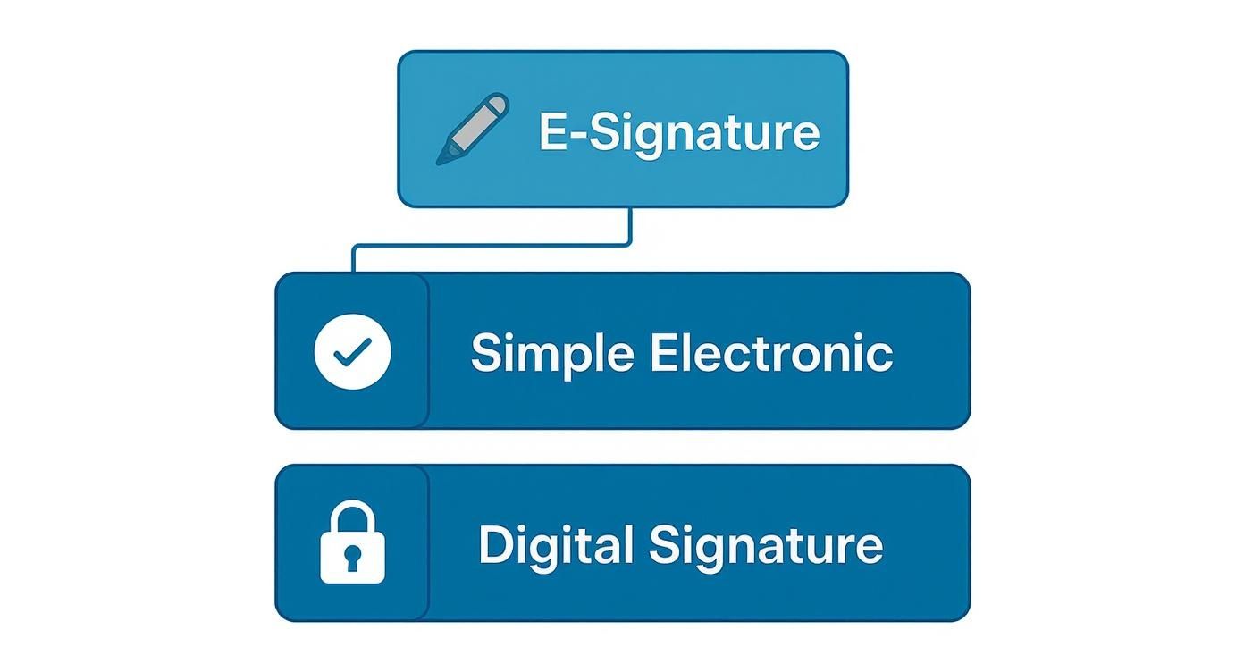 Infographic about what is an electronic signature