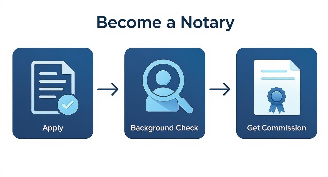 Infographic about how to become a notary public