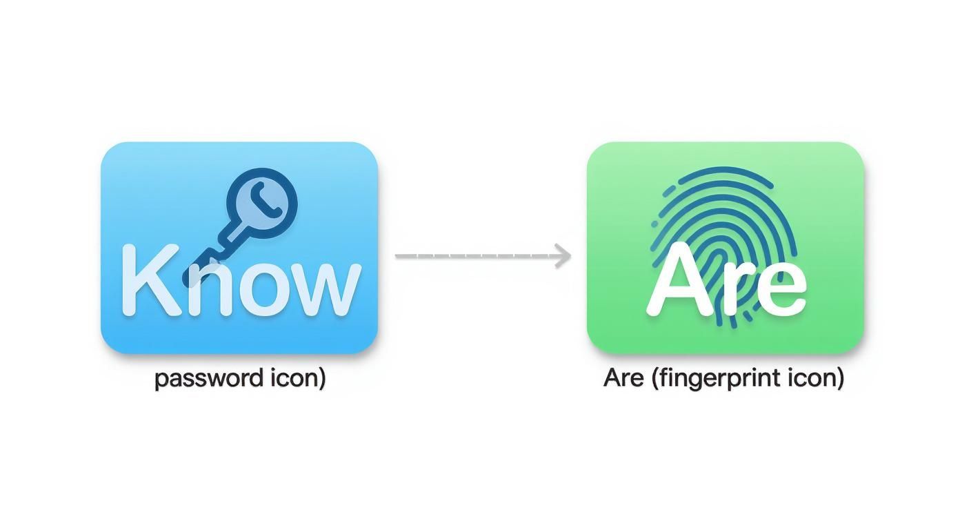 What Is Biometric Authentication? How It Works + Types