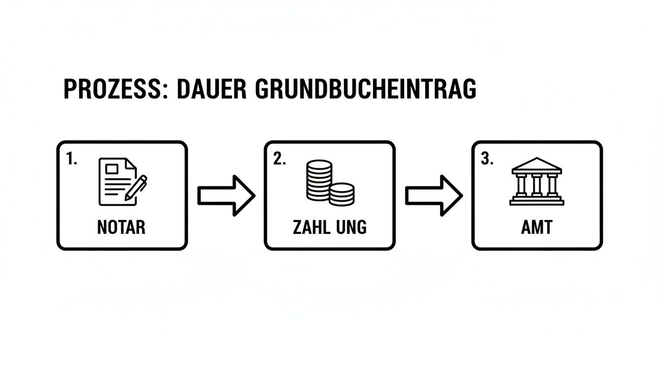 Prozessdiagramm für die Dauer einer Grundbucheintragung mit den Schritten Notar, Zahlung und Amt.