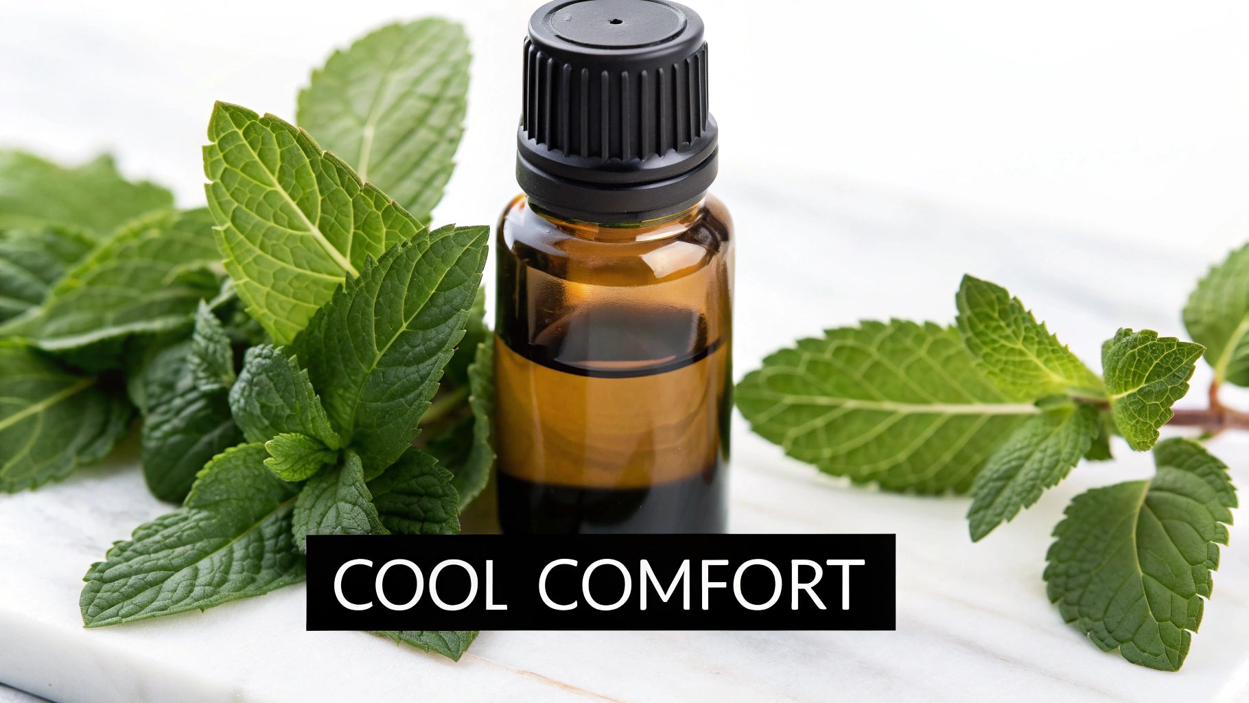 Peppermint Oil Aromatherapy