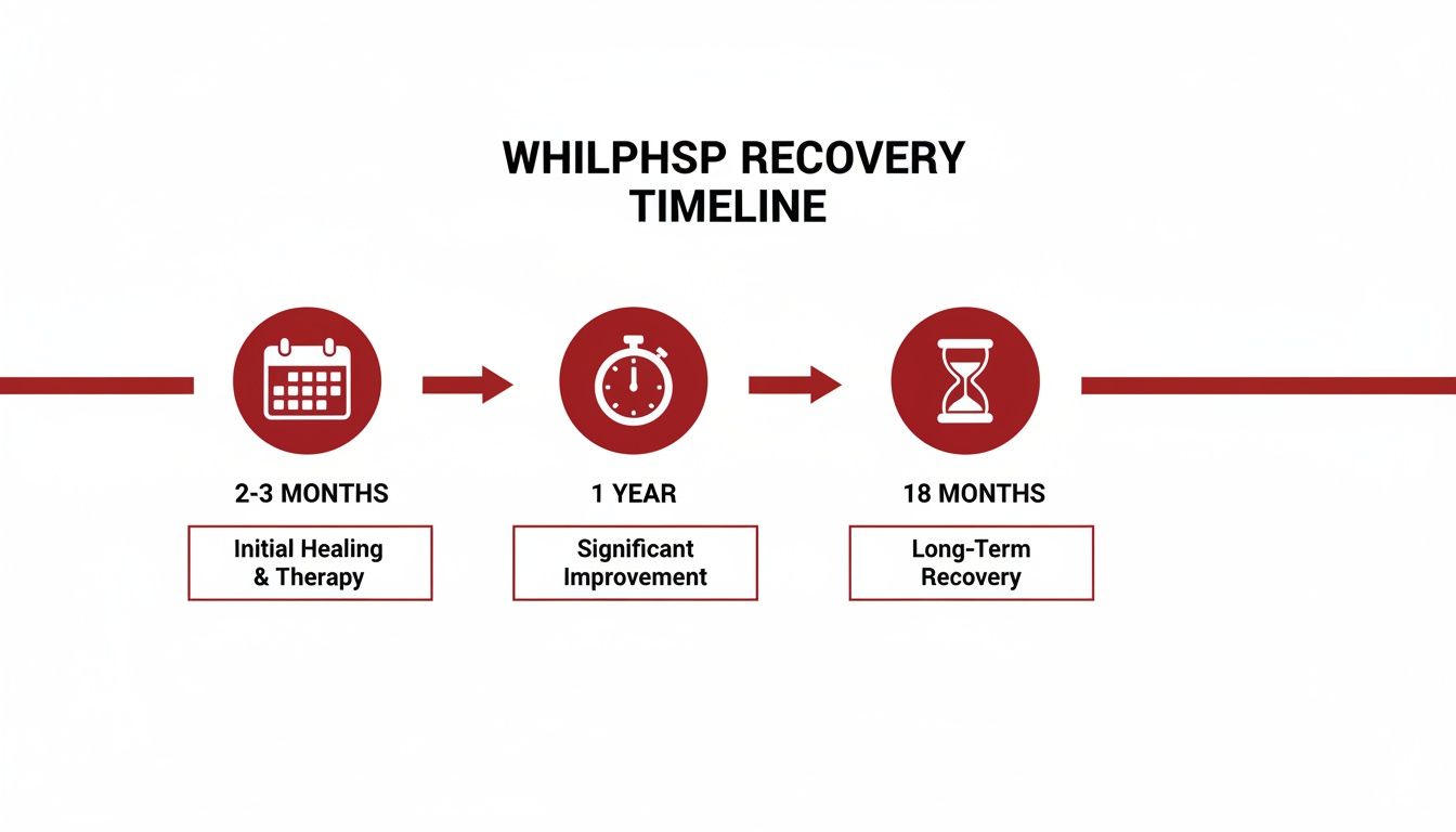 Visual timeline illustrating WHILPHSP recovery over 18 months, detailing initial healing, improvement, and long-term recovery.