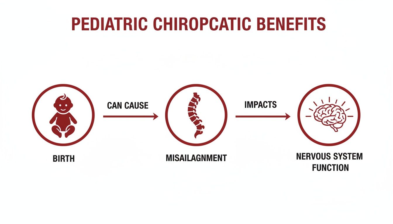 Diagram illustrating how birth can cause spinal misalignment, impacting a child's nervous system function.