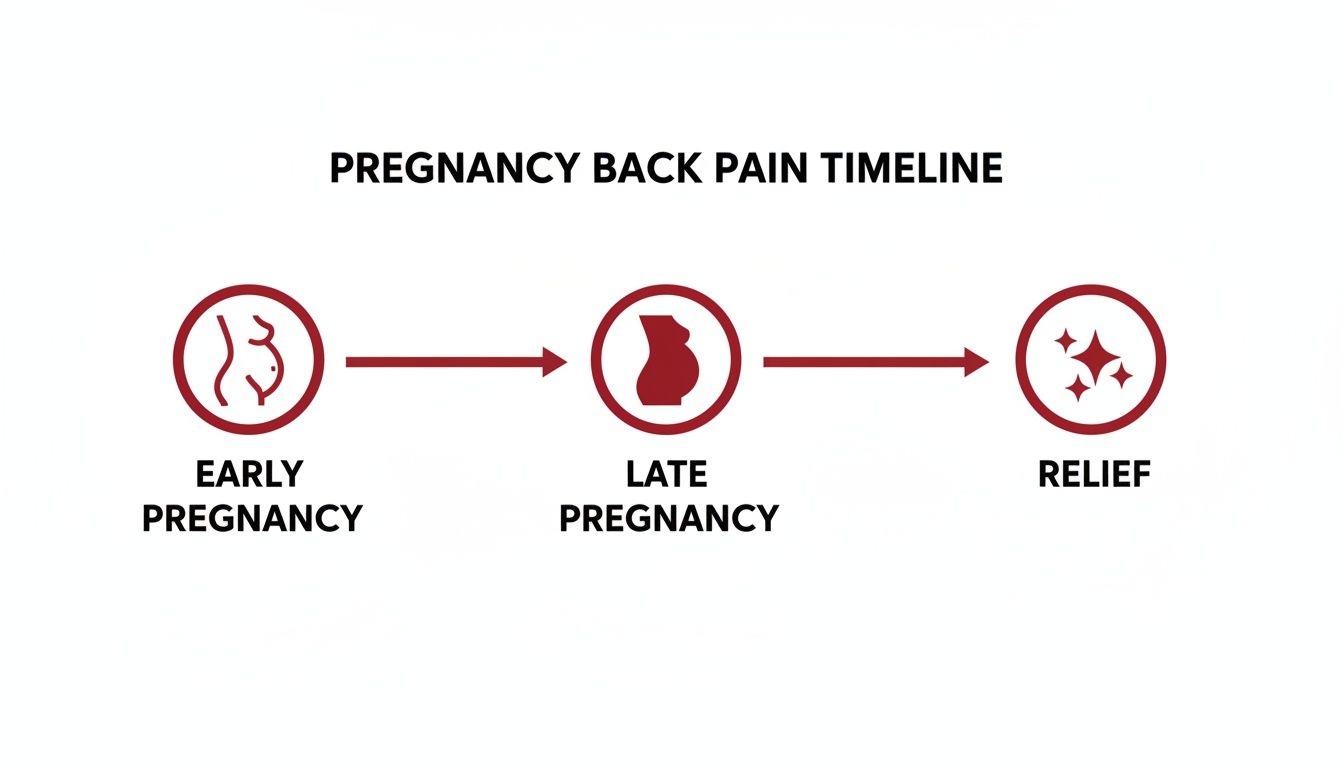 Timeline illustrating the progression of pregnancy back pain from early to late stages, ending with relief.