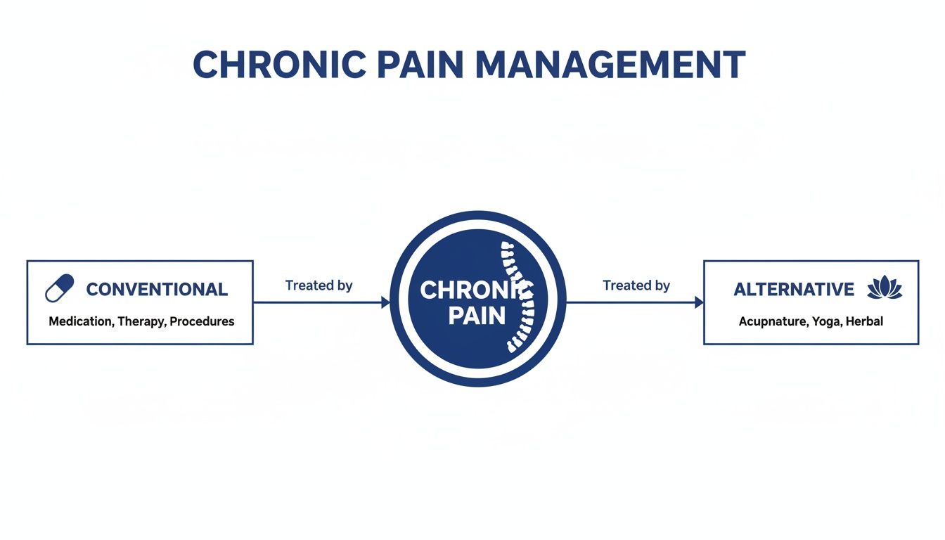 An infographic illustrating conventional and alternative methods for chronic pain management.