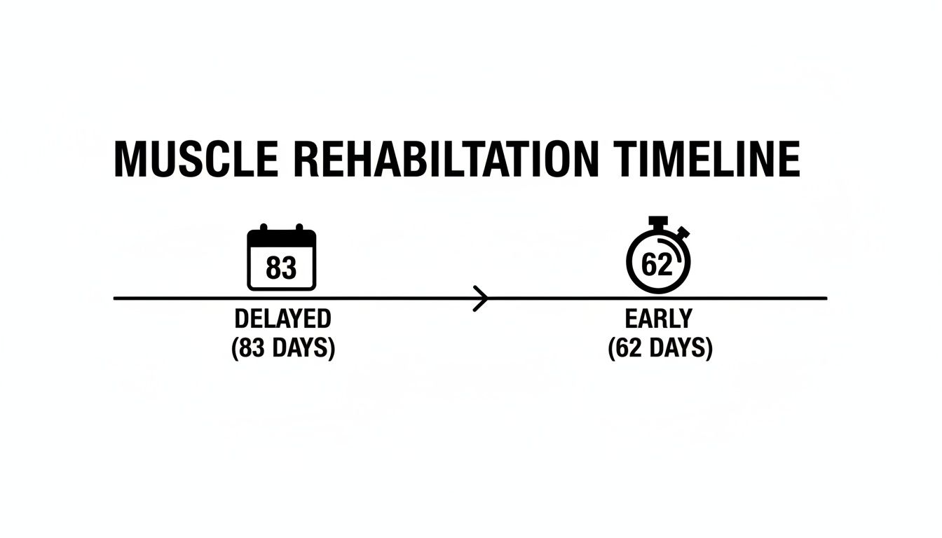 A muscle rehabilitation timeline illustrating delayed recovery at 83 days versus early recovery at 62 days.
