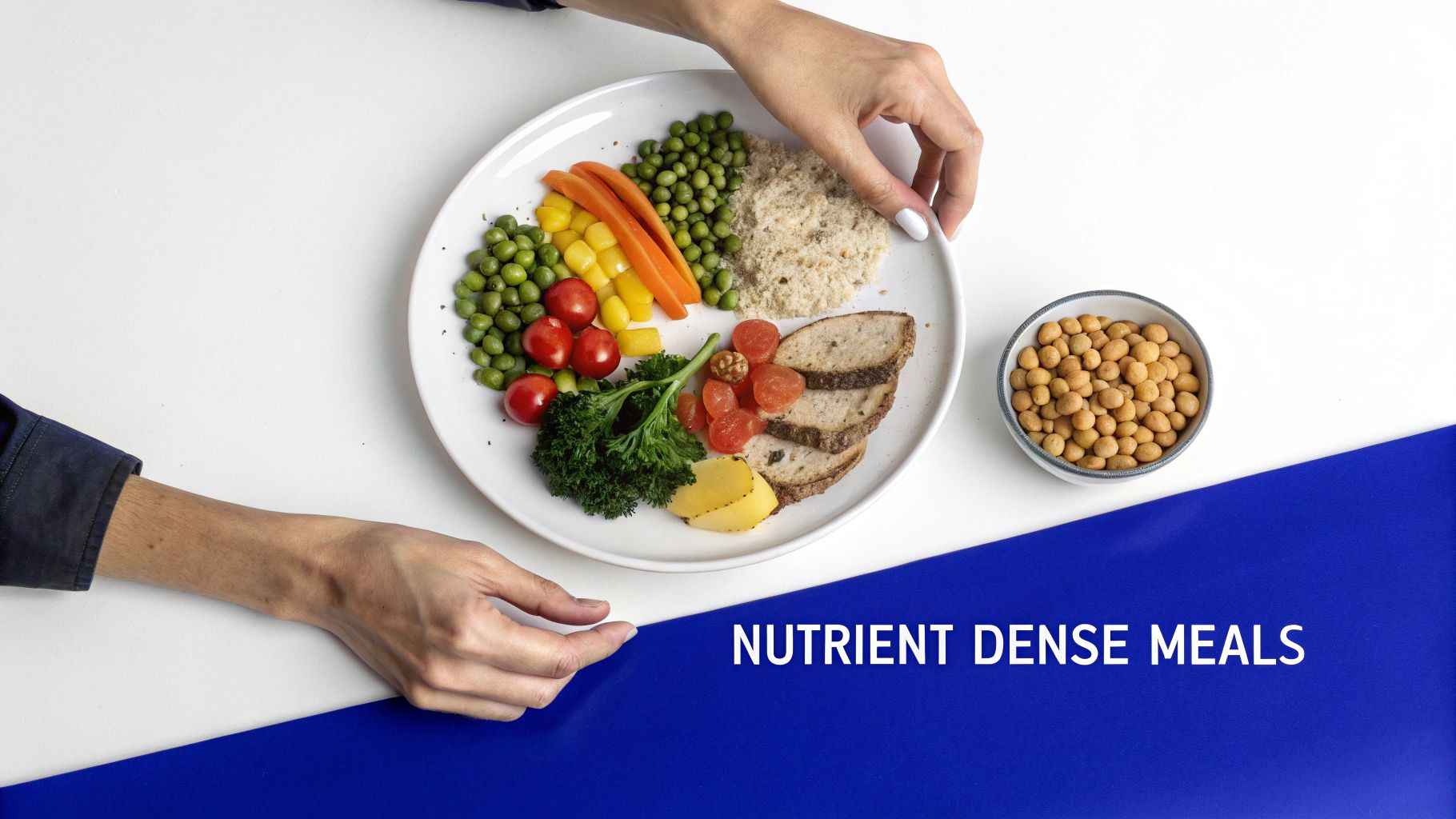 Overhead view of hands holding a plate with a balanced meal, including vegetables, grains, and protein.
