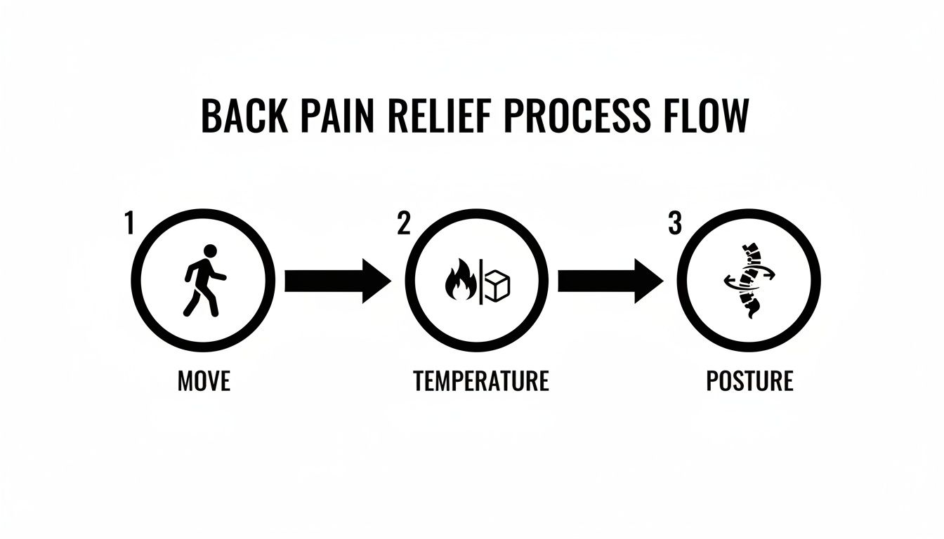 Hershey Family Chiropractic | Chiropractor in Hershey, PA for Natural Lower Back Pain Relief A three-step back pain relief process flow showing movement, temperature application, and posture correction.