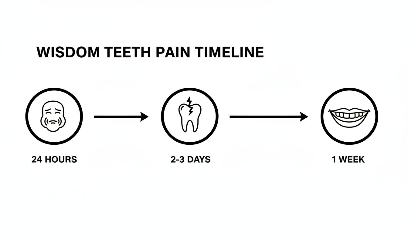Wisdom teeth pain timeline showing initial pain (24 hours), discomfort (2-3 days), and full recovery (1 week).