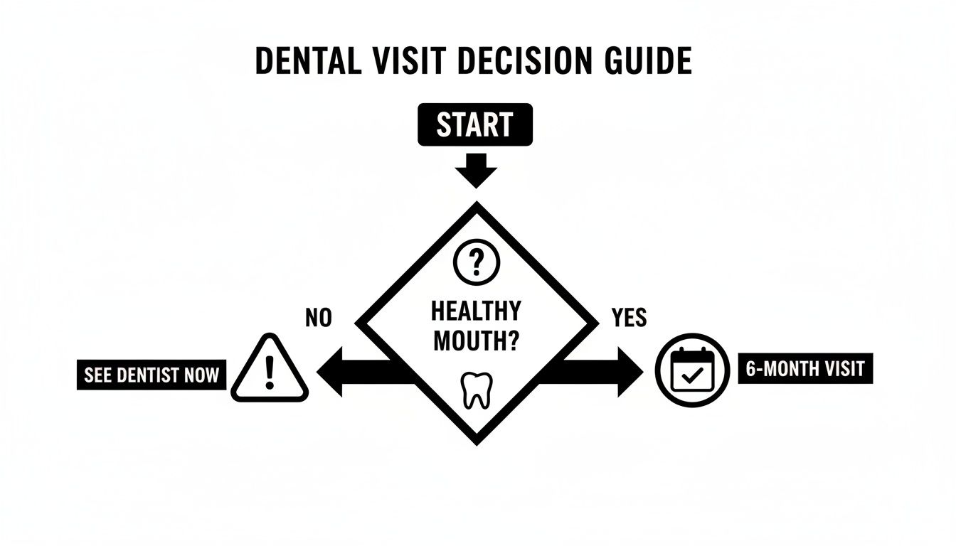A dental visit decision guide flowchart asking if your mouth is healthy, guiding to see a dentist now or in 6 months.