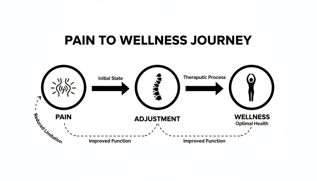 Infographic showing the pain to wellness journey through chiropractic adjustment and improved function.