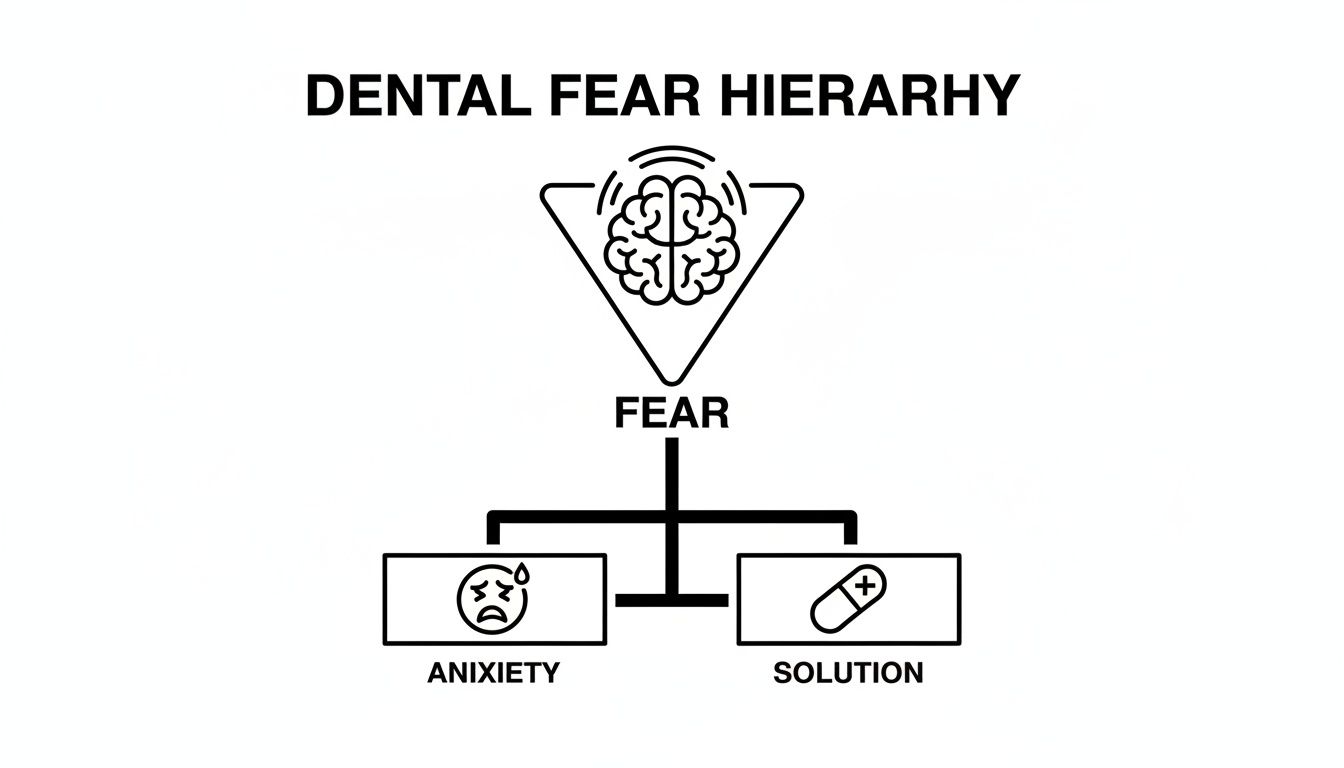 A diagram illustrating the dental fear hierarchy, showing fear leading to anxiety or a solution.