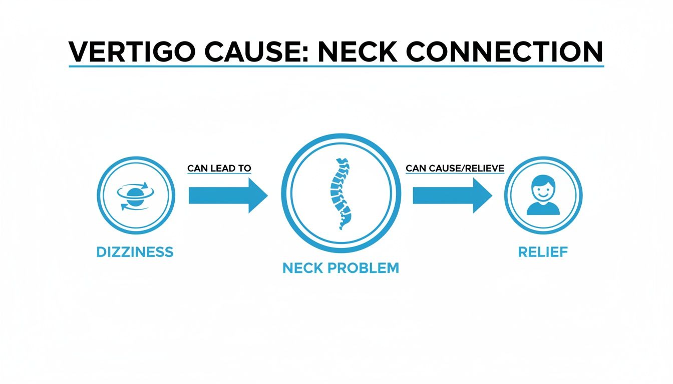 Flowchart illustrating how dizziness can lead to neck problems, and neck issues can cause or relieve vertigo.