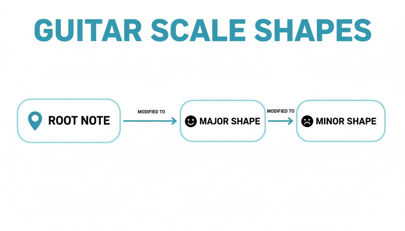 Flowchart illustrating how a root note is modified into major and minor guitar scale shapes.