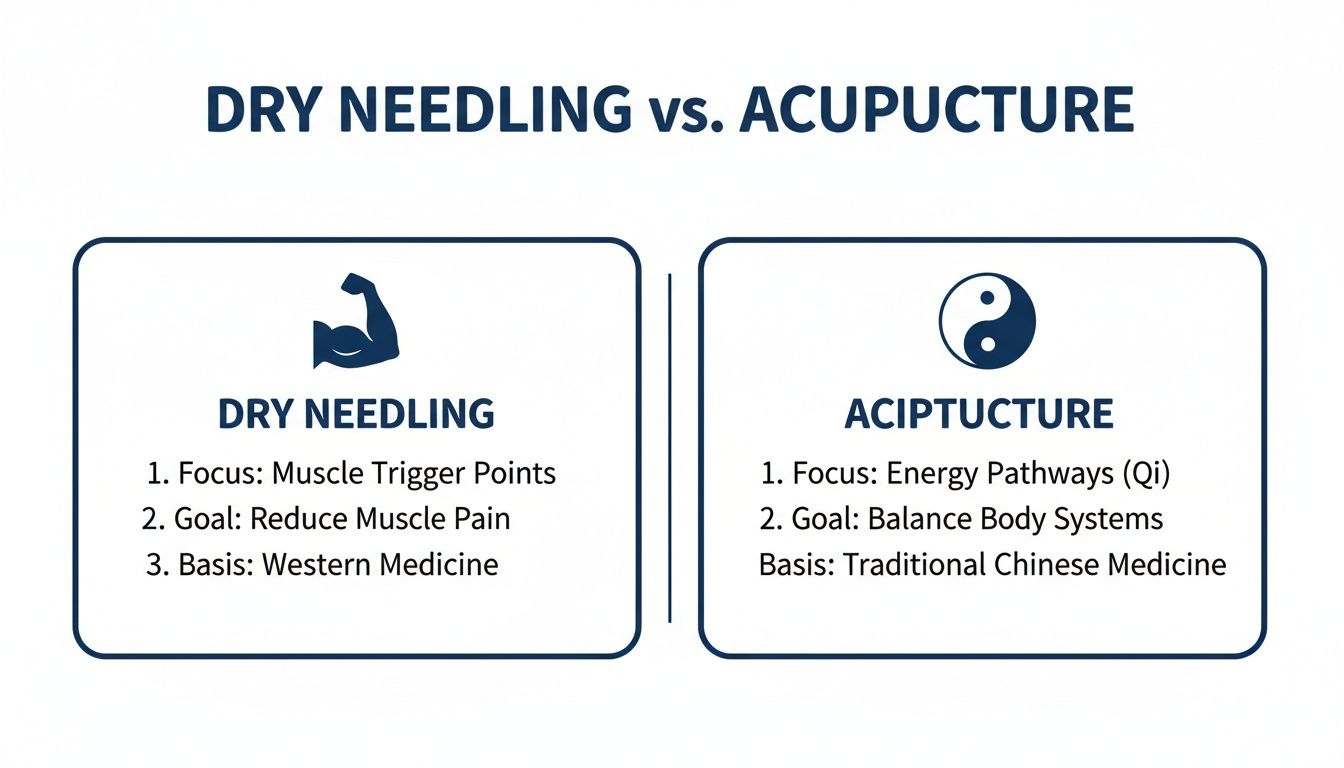 Comparison chart contrasting Dry Needling and Acupuncture, detailing their focus, goals, and medical bases.