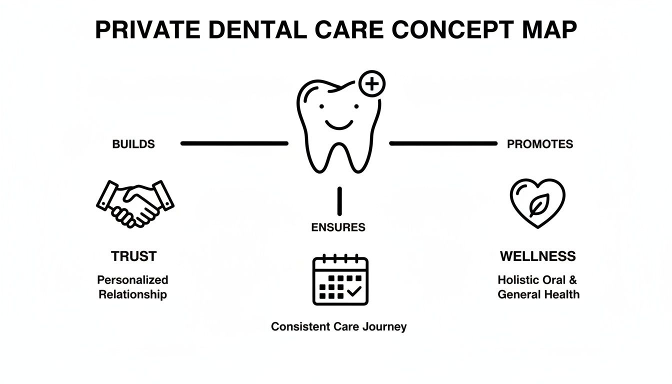 A concept map illustrating private dental care builds trust, promotes wellness, and ensures consistent care.