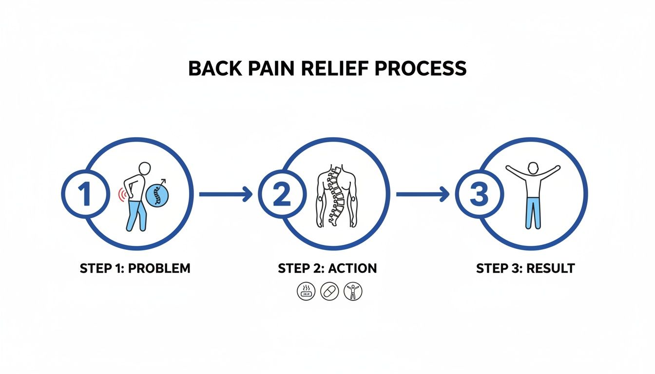 Diagram illustrating the back pain relief process: problem, action (spinal treatment, medicine, exercise), and result (relief).