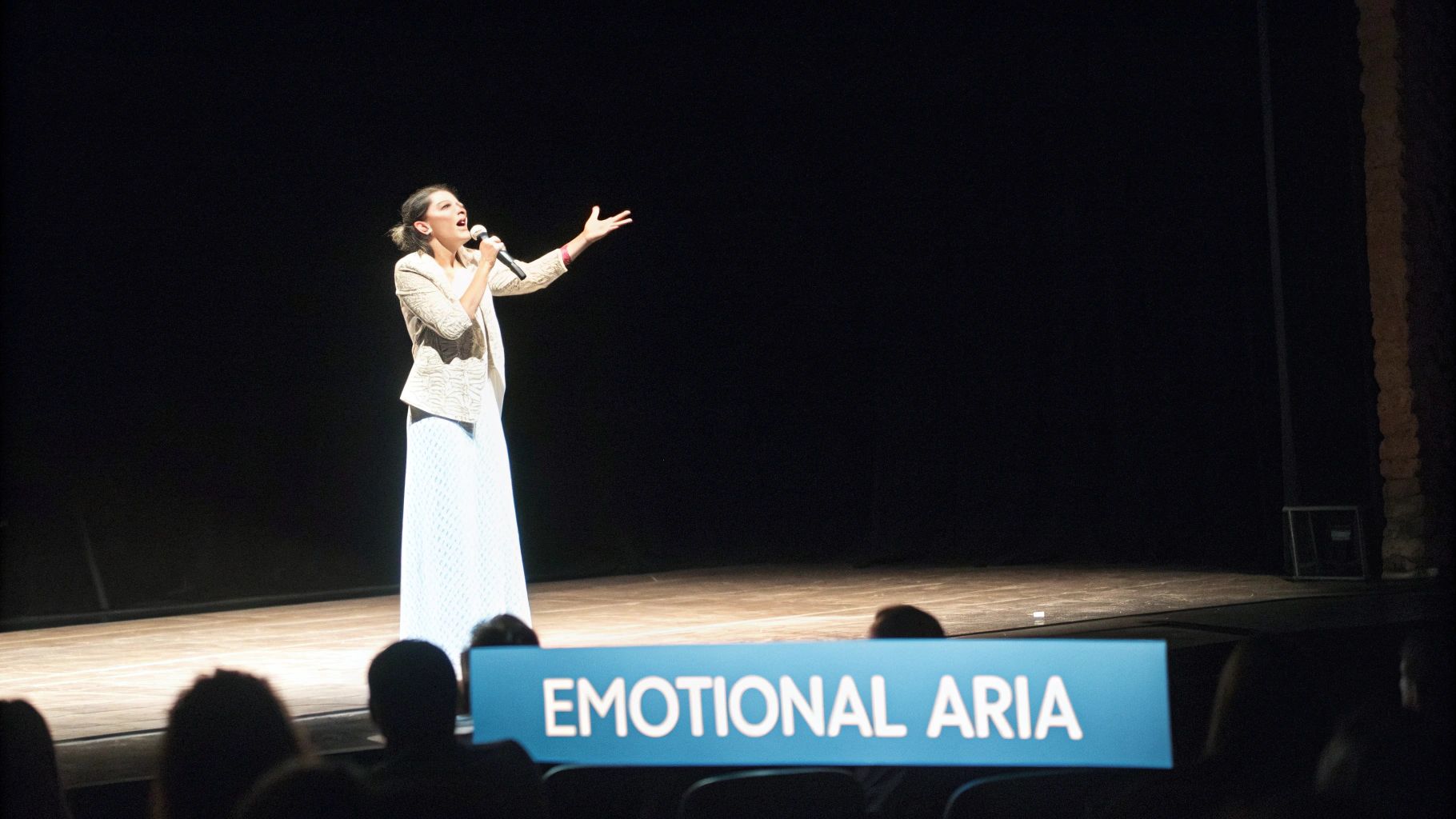 A female singer performs an emotional aria on a dark stage, illuminated by a spotlight, with an audience in the foreground.