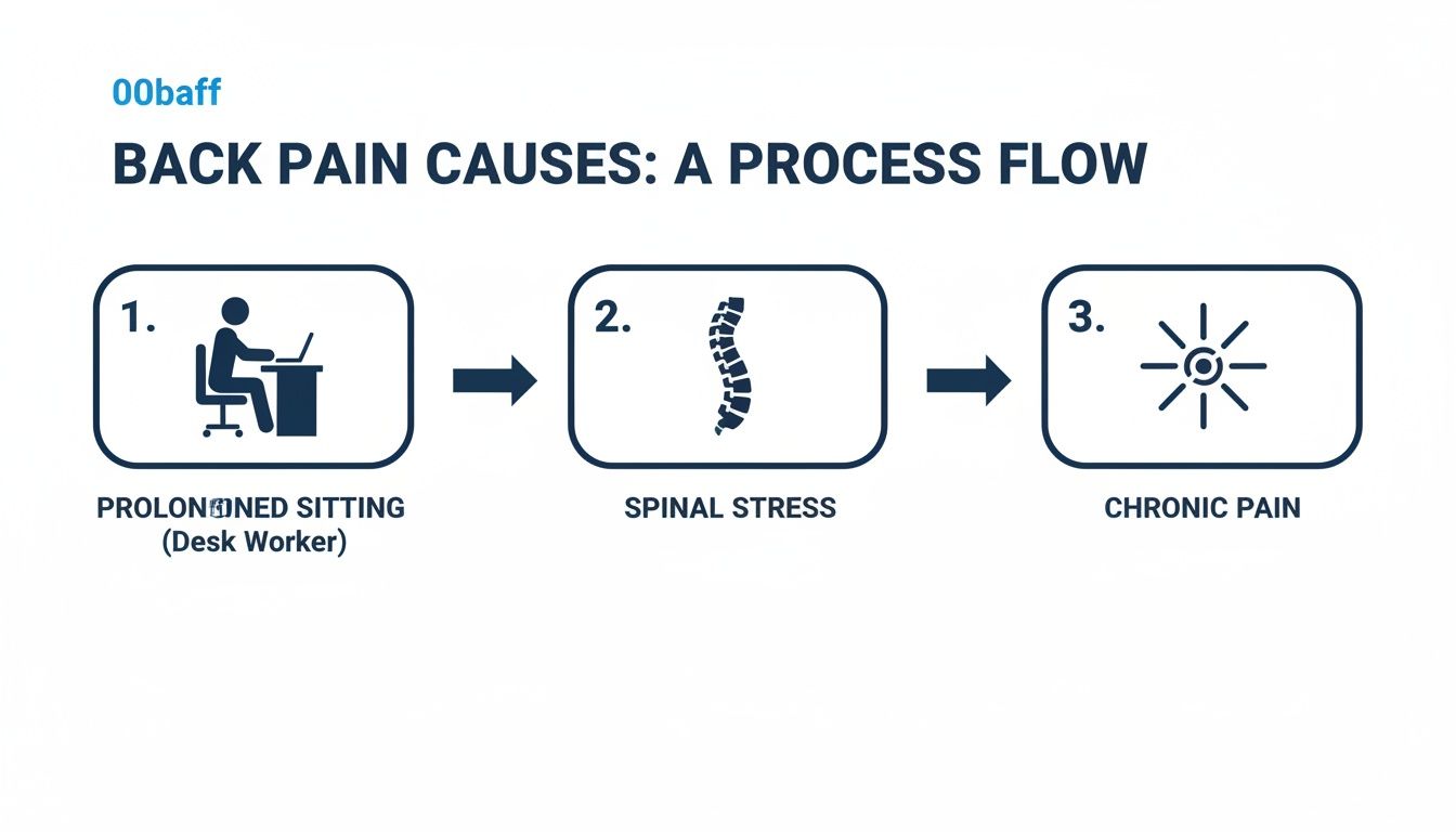Process flow diagram showing how prolonged sitting causes spinal stress and chronic back pain.