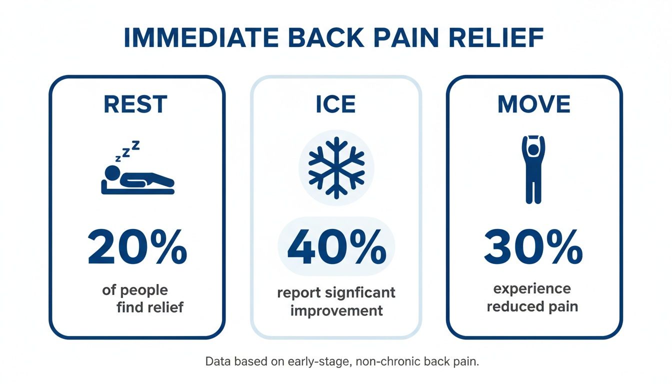 Infographic illustrating immediate back pain relief methods: rest, ice, and movement, with effectiveness percentages.