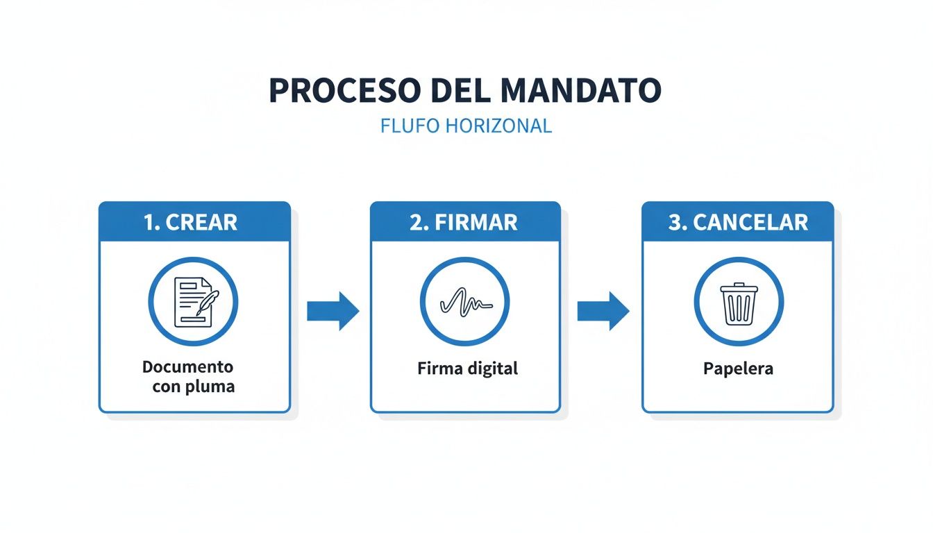 Horizontal flow diagram showing the mandate process: create, sign digitally and cancel.