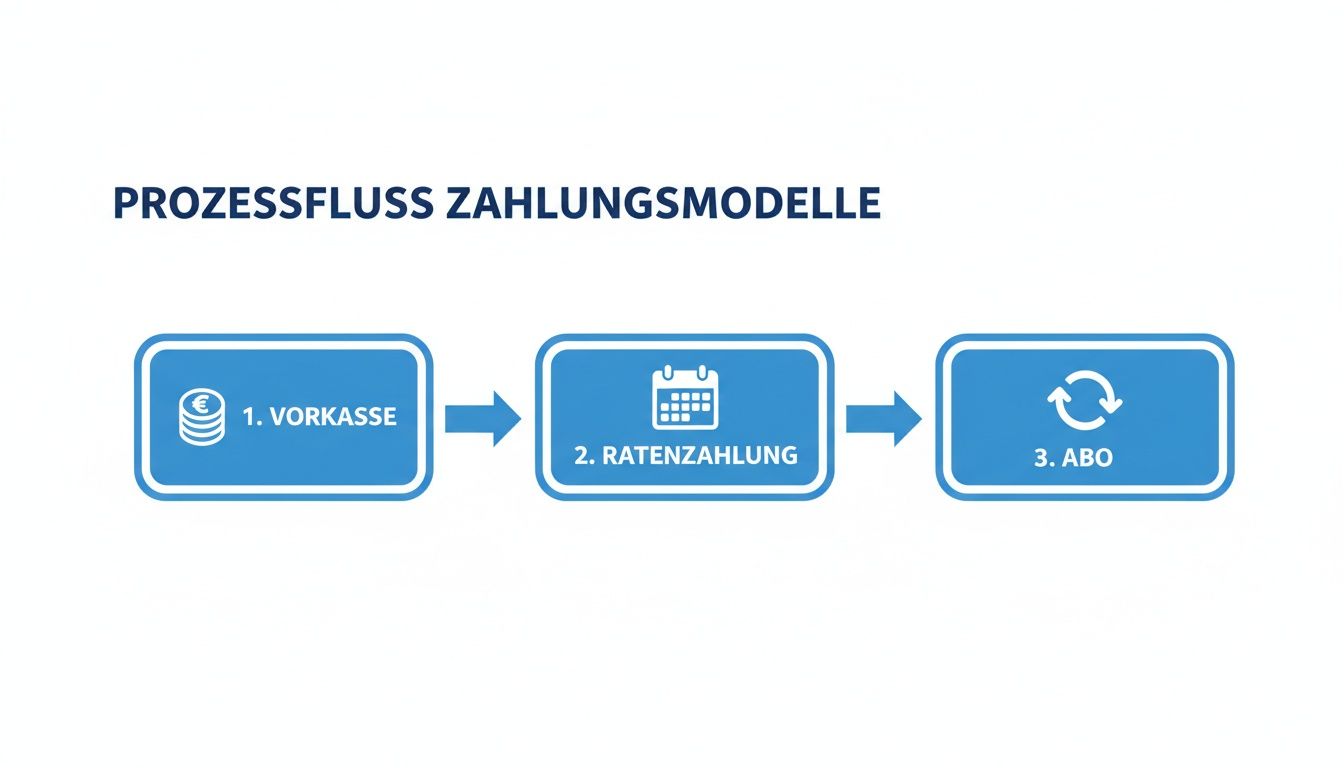 Diagramm zeigt den Prozessfluss verschiedener Zahlungsmodelle: Vorkasse, Ratenzahlung und Abo mit Pfeilen.
