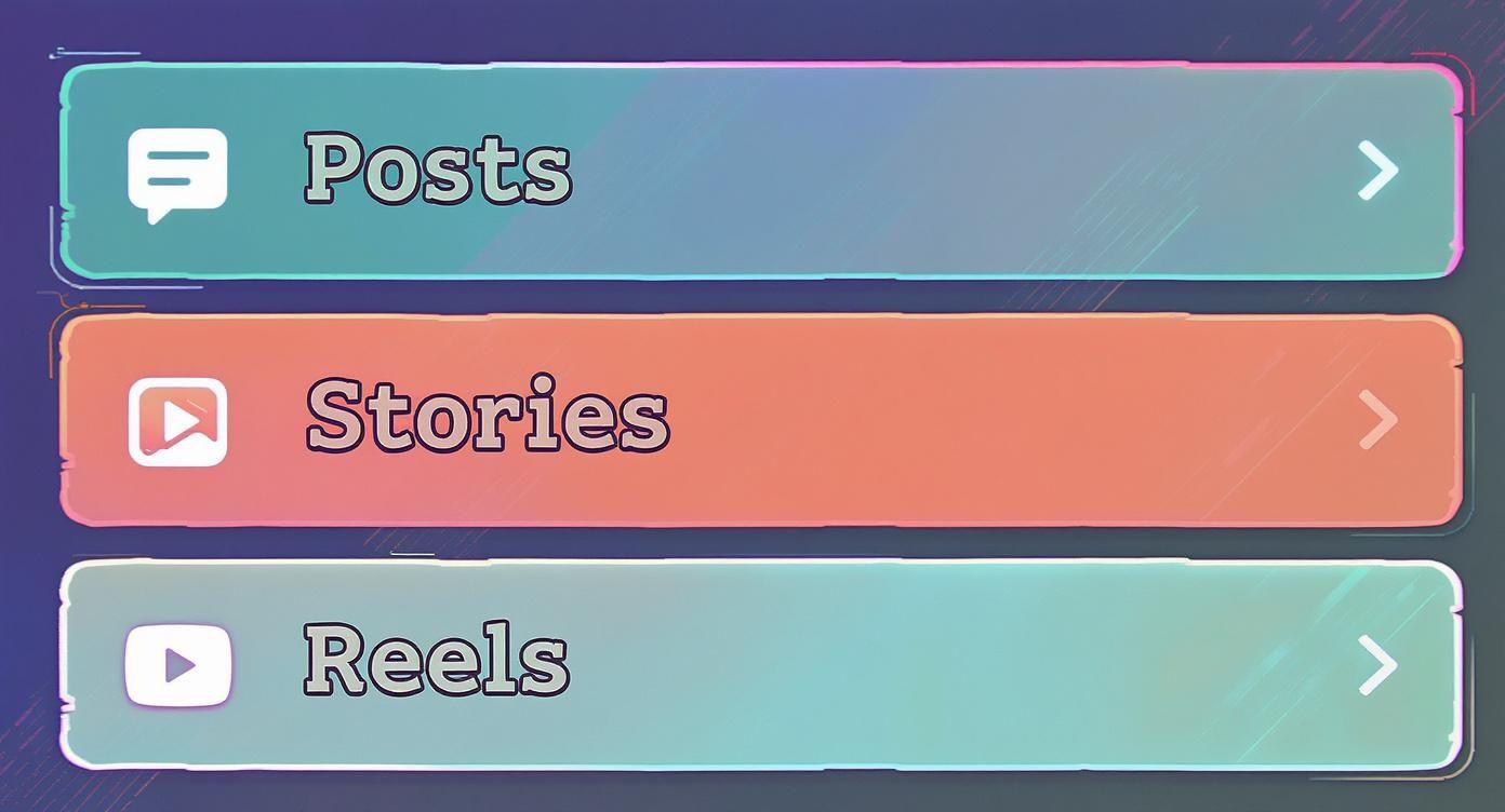 Infografik, die zeigt, wo man auf Instagram Produkt-Tags verwenden kann: in Posts, Stories und Reels.