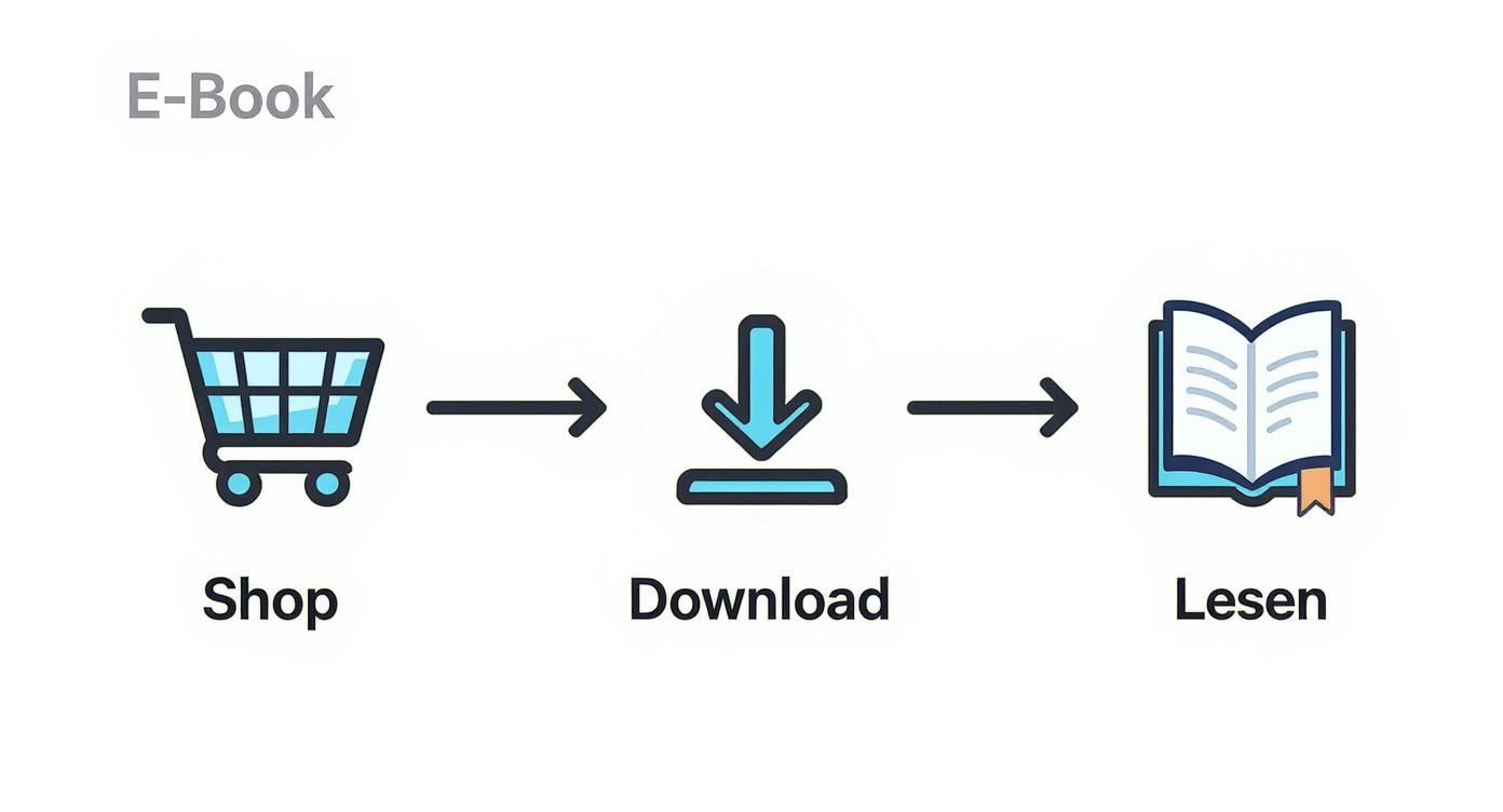 Infografik about wie funktioniert ein ebook