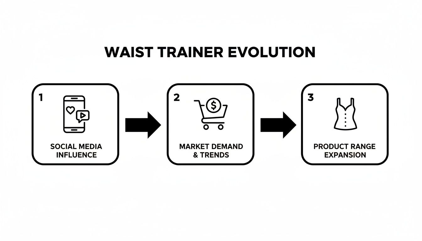 Flowchart illustrating the evolution of waist trainers influenced by social media, market demand, and product expansion.