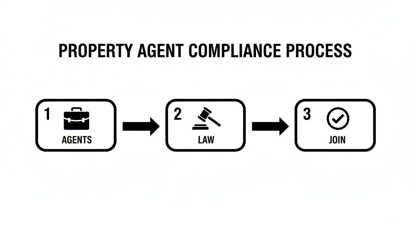 Flowchart illustrating the property agent compliance process with steps: Agents, Law, and Join.
