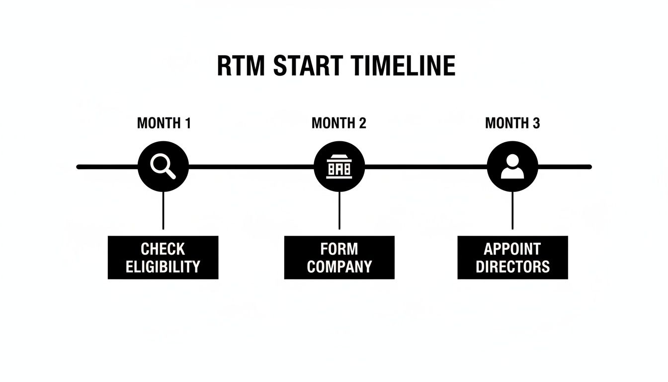 A timeline illustrating the RTM start process across three months, including checking eligibility, forming a company, and appointing directors.