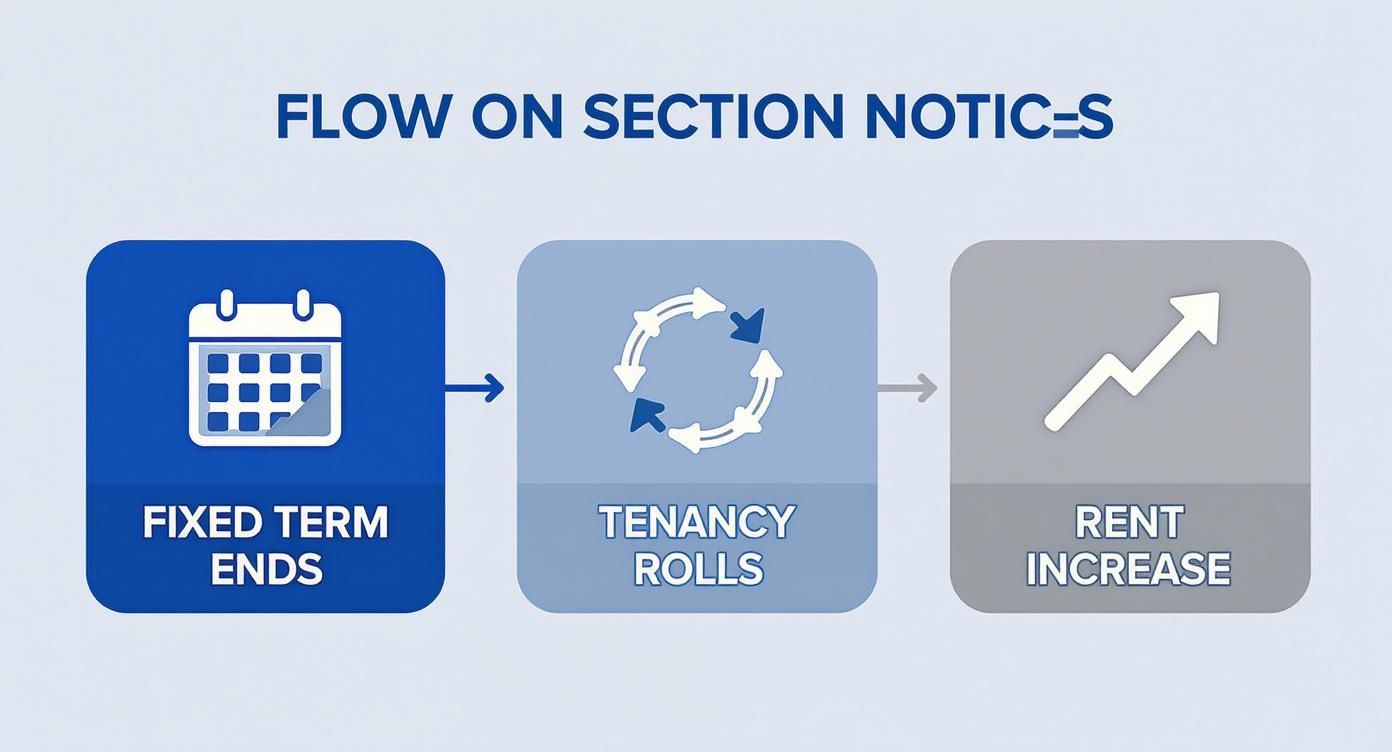 Flowchart illustrating the process from fixed term tenancy ending to tenancy rolling and rent increase.