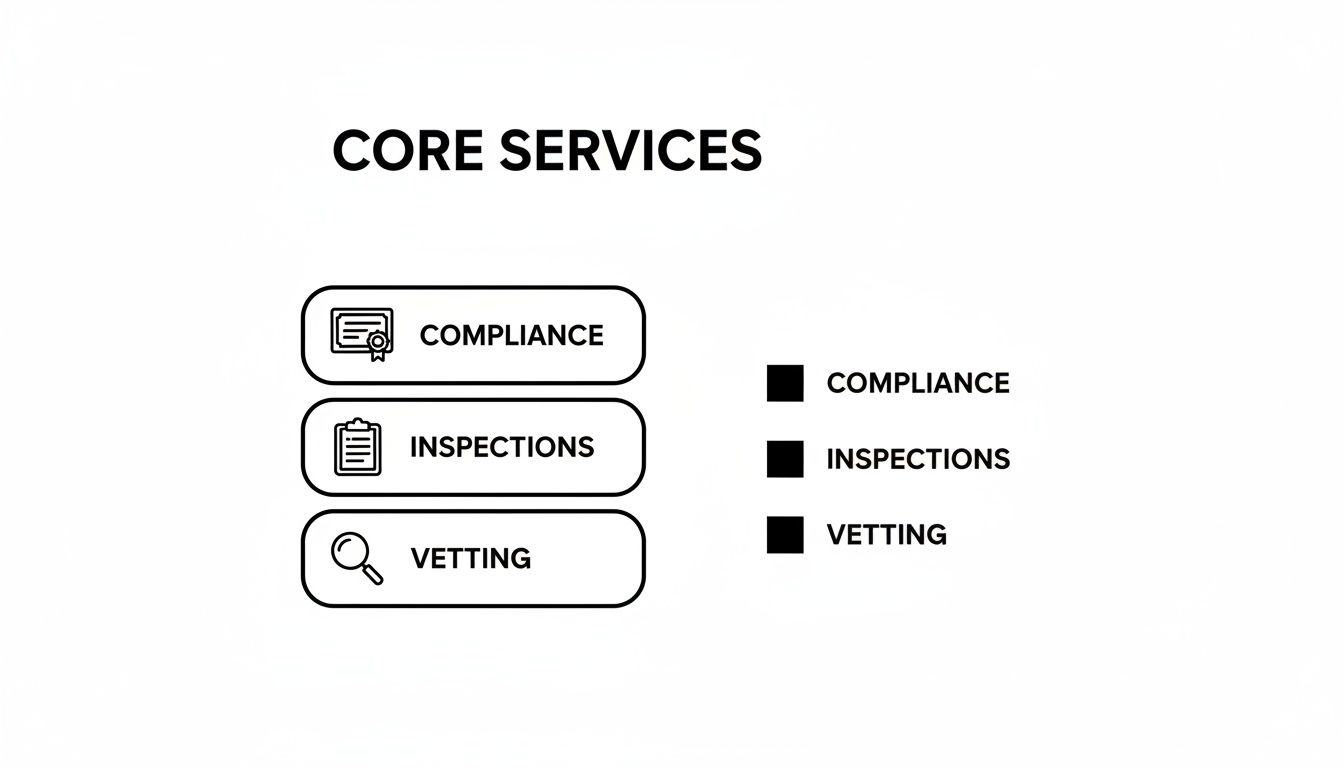 An infographic showing core services: compliance, inspections, and vetting, each with an icon.