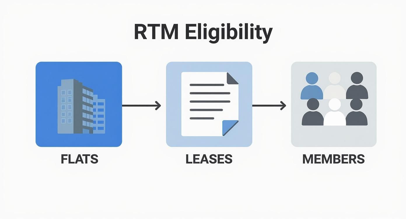 Right to manage eligibility flowchart showing progression from flats to leases to members