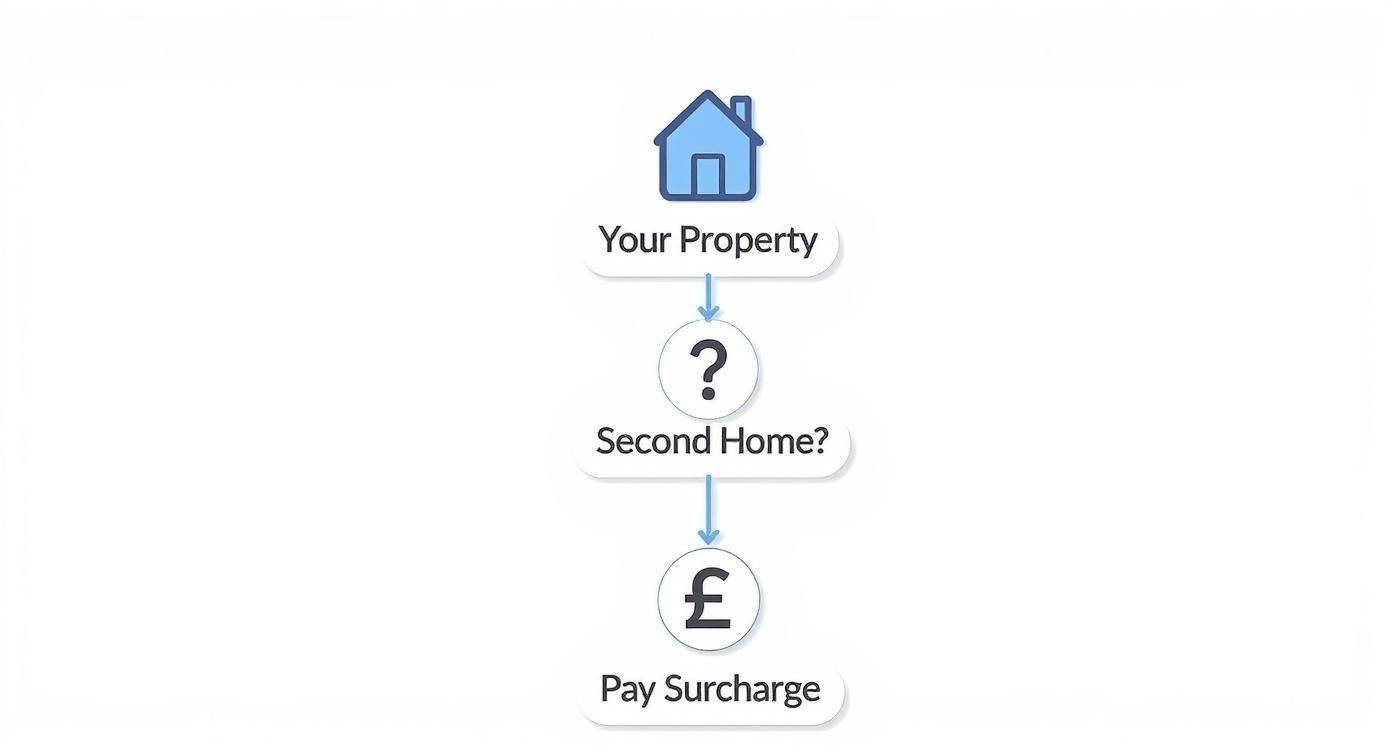 Infographic about stamp duty on buy to let property