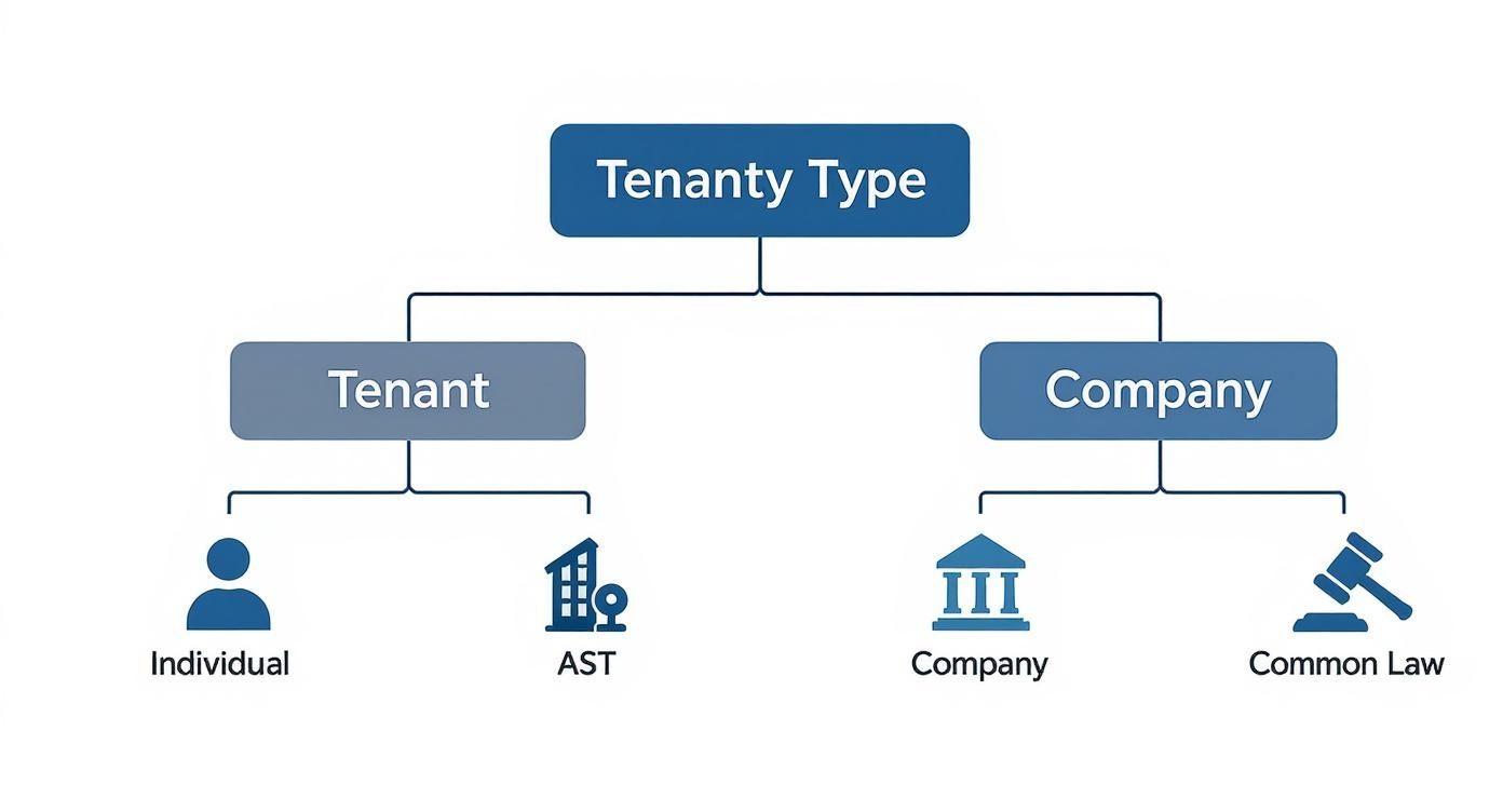 Infographic about letting to a company