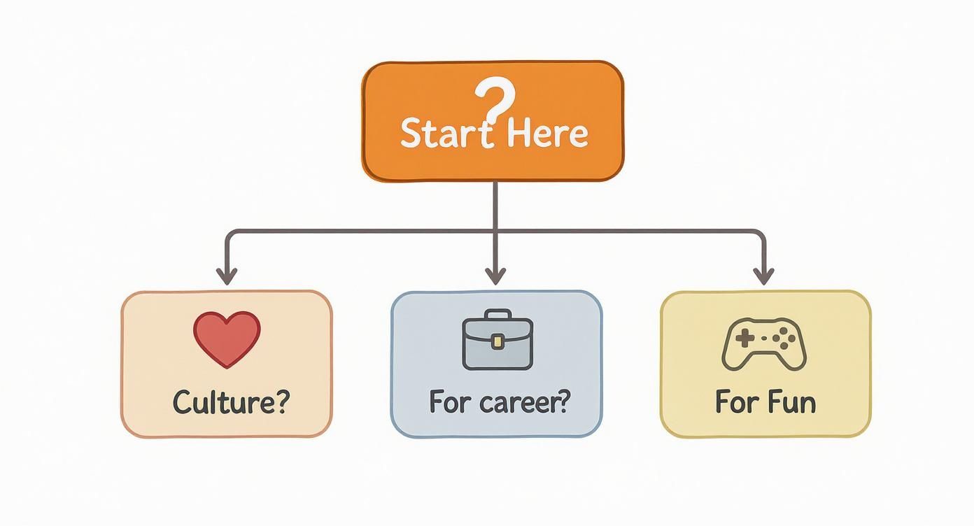 Infographic about online korean language tutor