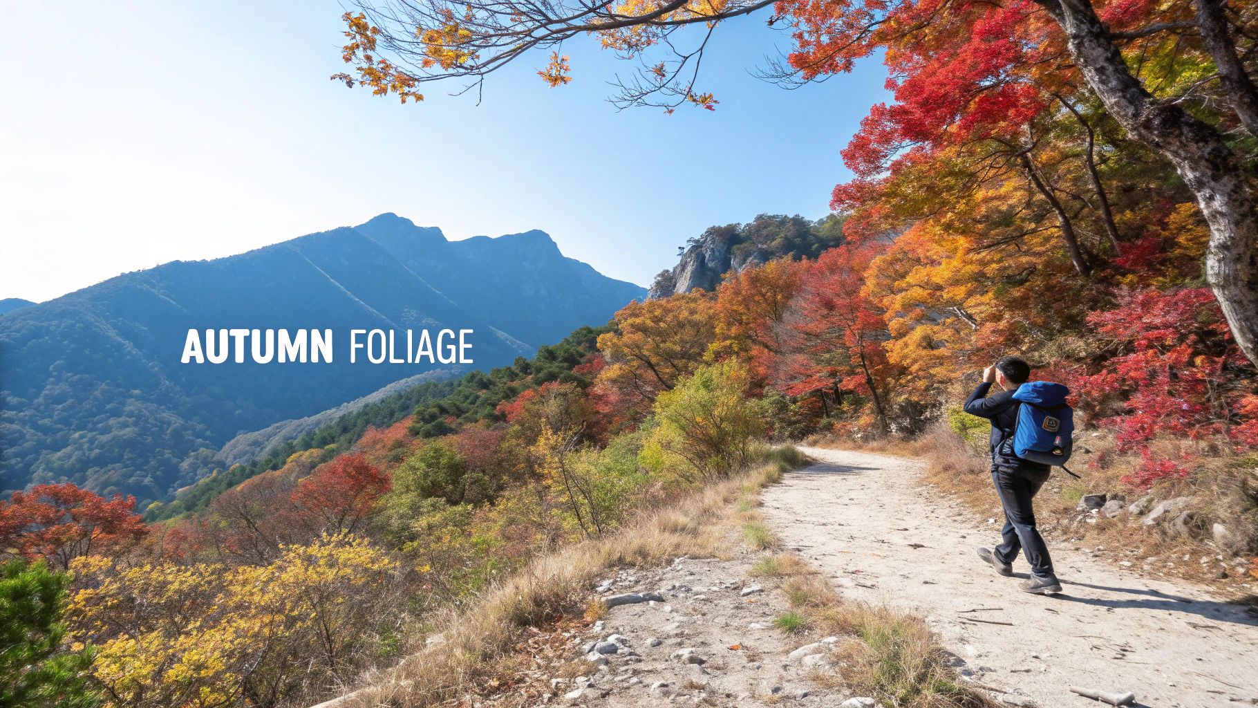 A person hiking a mountain trail amidst stunning autumn foliage and scenic views.