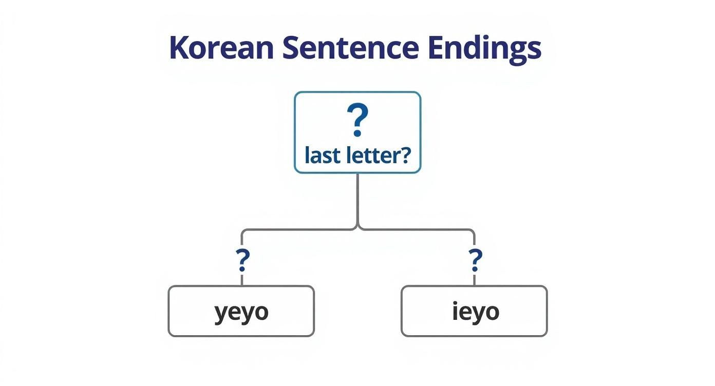 Infographic decision tree explaining when to use the Korean sentence endings 'yeyo' and 'ieyo' based on whether the preceding word ends in a vowel or consonant.