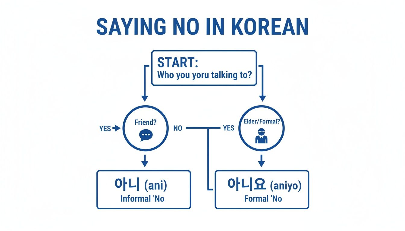 A helpful flowchart teaching how to say "no" in Korean, differentiating between informal "ani" and formal "aniyo".