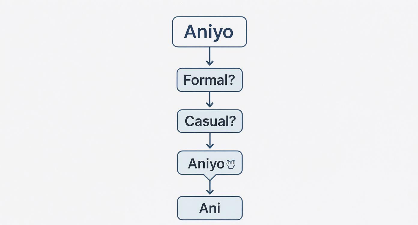A flowchart illustrating the different forms of 'Aniyo' and 'Ani' in Korean, showing formality levels.