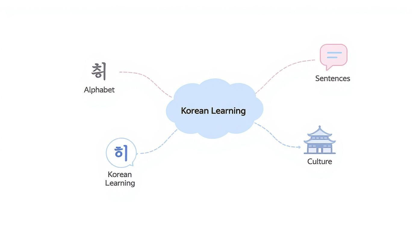 Infographic about korean language for beginners