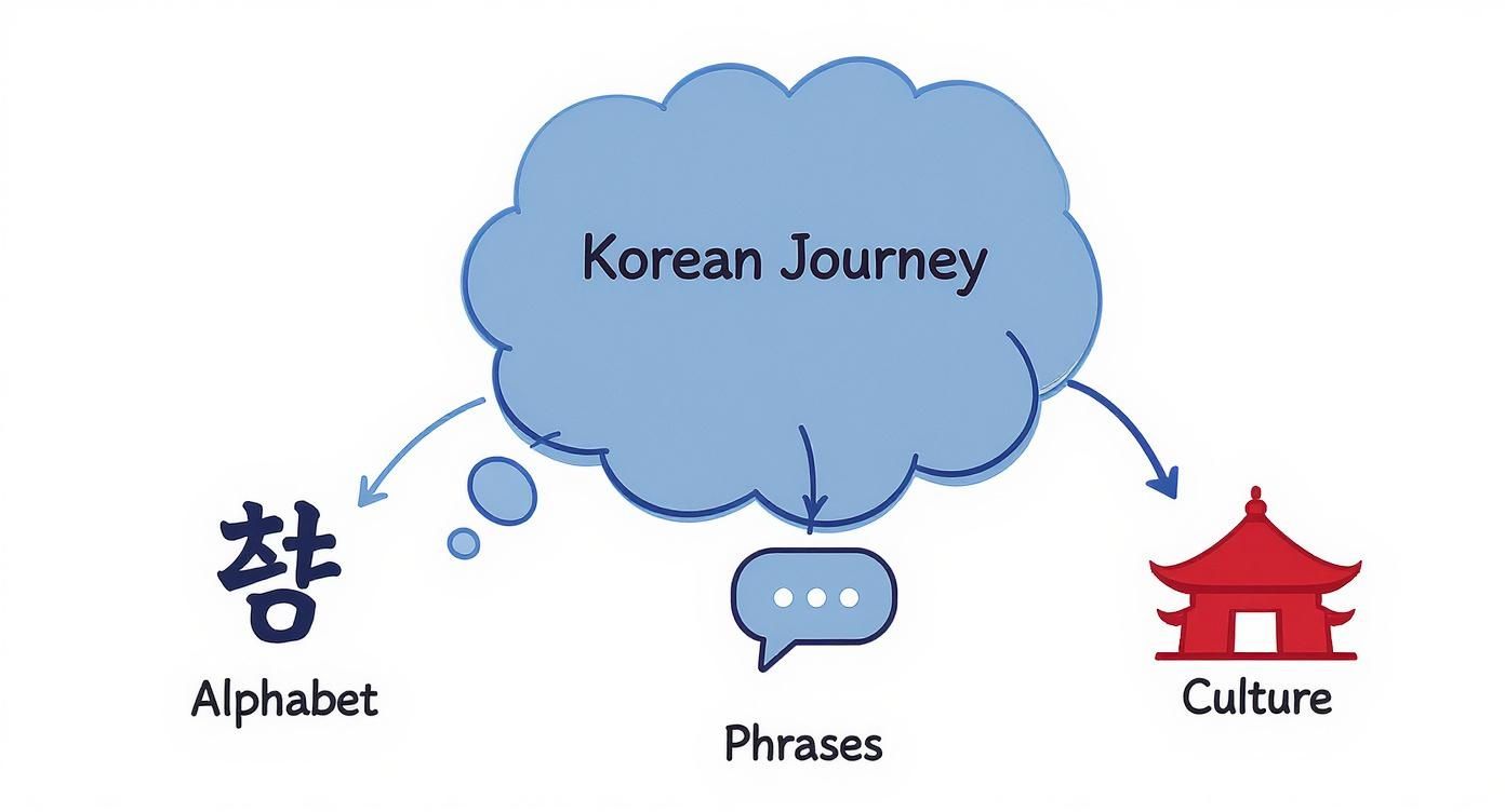 Infographic about korean for beginners