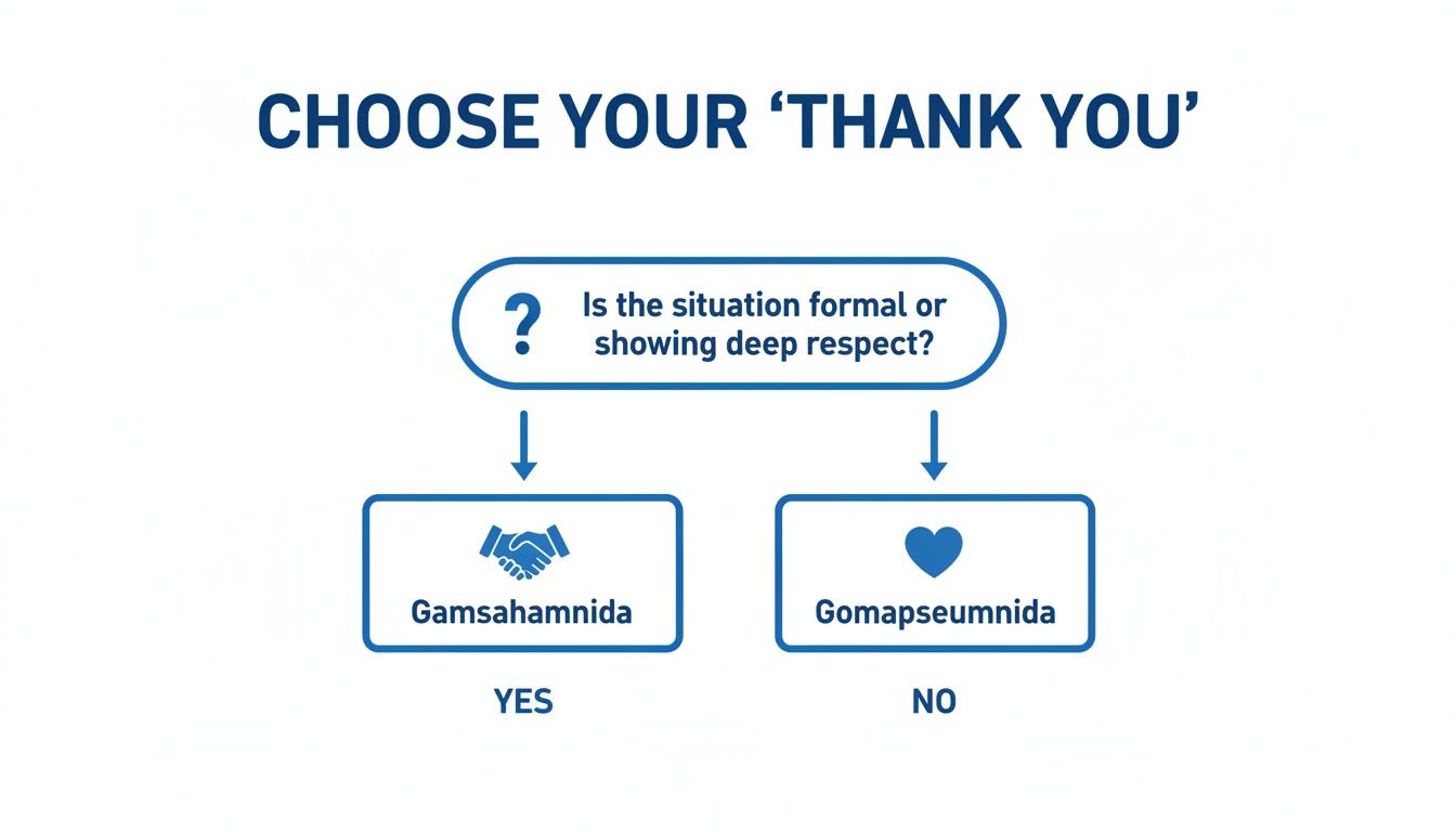 A flowchart explaining how to choose the correct 'Thank You' in Korean based on formality or respect.