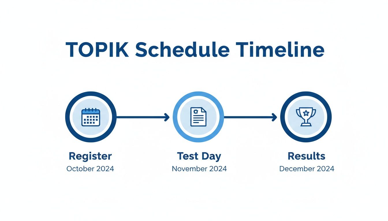 TOPIK schedule timeline showing registration in October 2024, test day in November 2024, and results in December 2024.