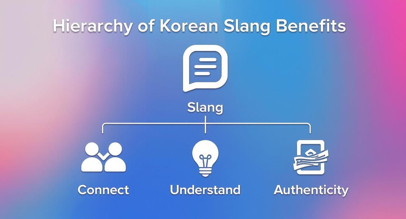 Infographic about slang in korean